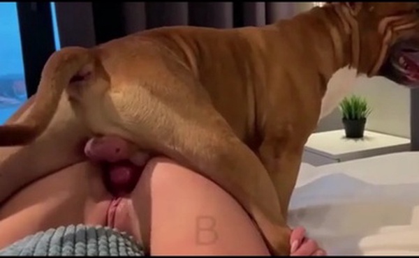 狗狗内射美少女扩阴器观察骚穴精液