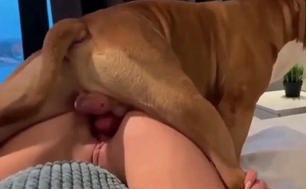 狗吊内射美少妇