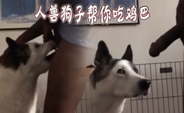 人兽狗子帮你吃鸡巴